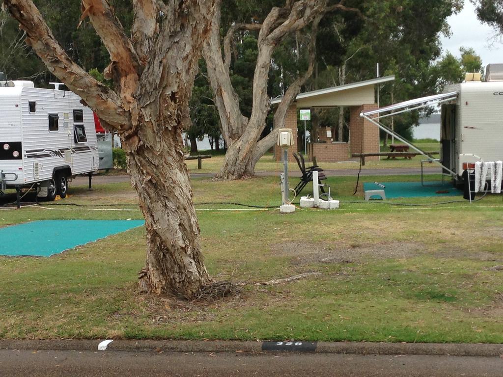 Budgewoi Holiday Park Exterior foto
